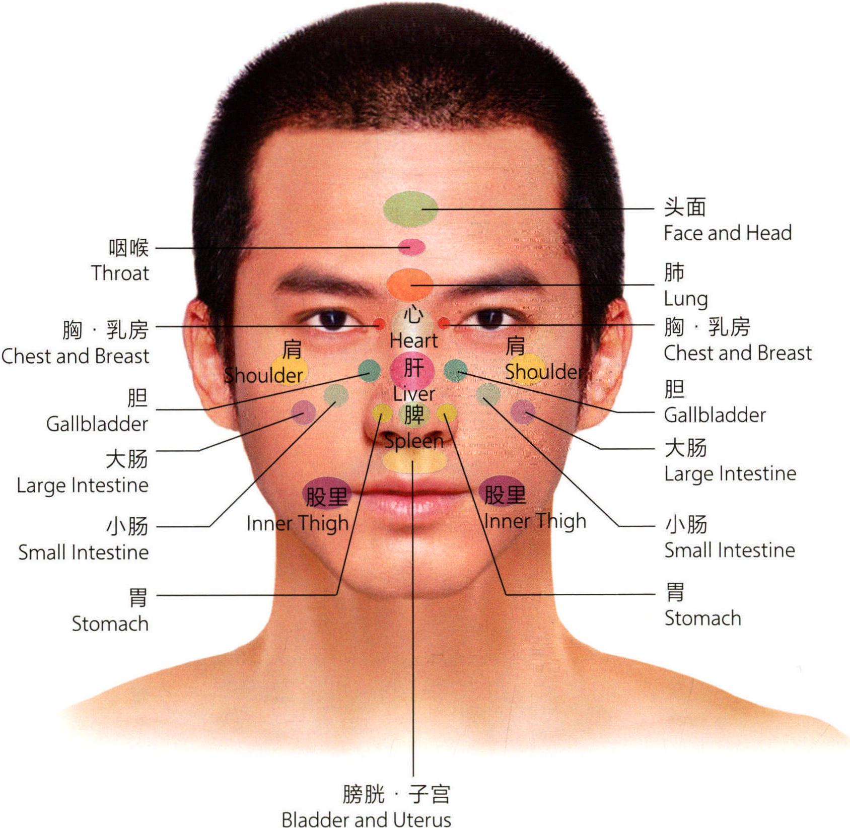 面部反射區(qū)